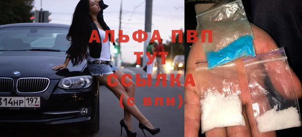 ПСИЛОЦИБИНОВЫЕ ГРИБЫ Кулебаки