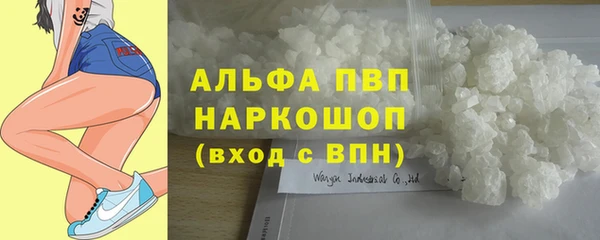 ПСИЛОЦИБИНОВЫЕ ГРИБЫ Кулебаки