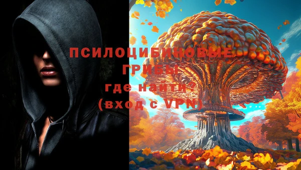 стафф Куйбышев