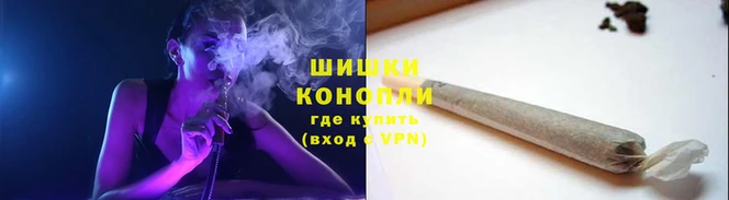 ПСИЛОЦИБИНОВЫЕ ГРИБЫ Кулебаки