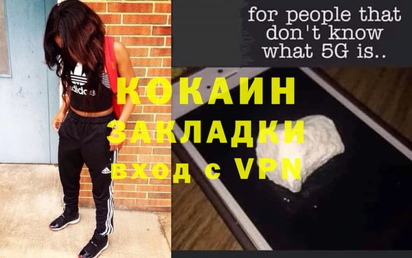 ПСИЛОЦИБИНОВЫЕ ГРИБЫ Кулебаки